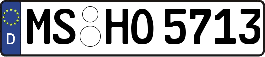 MS-HO5713