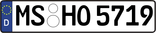 MS-HO5719