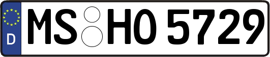 MS-HO5729