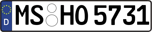 MS-HO5731