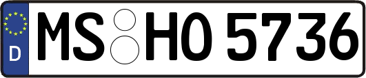 MS-HO5736