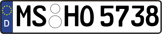 MS-HO5738
