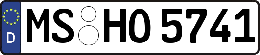 MS-HO5741