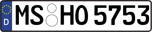 MS-HO5753