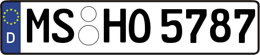 MS-HO5787