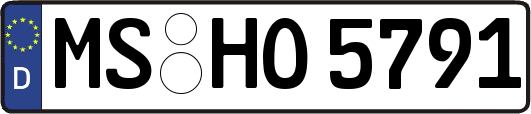 MS-HO5791