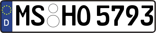 MS-HO5793