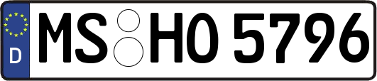 MS-HO5796