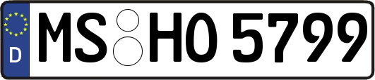 MS-HO5799