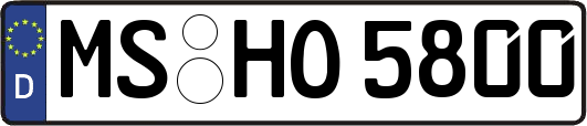 MS-HO5800