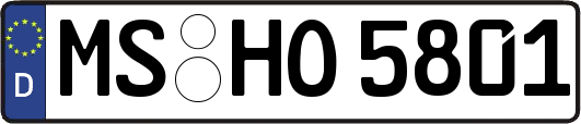 MS-HO5801