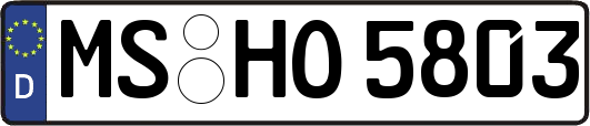 MS-HO5803