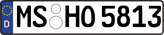 MS-HO5813