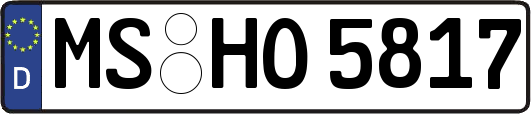 MS-HO5817