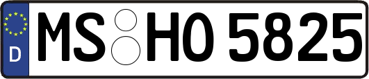 MS-HO5825