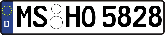MS-HO5828