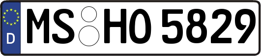 MS-HO5829