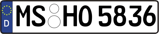 MS-HO5836