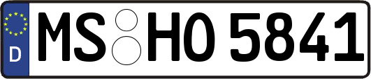 MS-HO5841