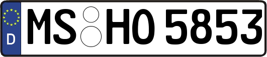 MS-HO5853