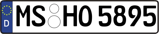 MS-HO5895