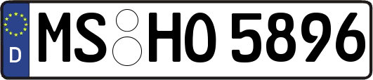 MS-HO5896
