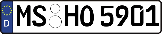 MS-HO5901