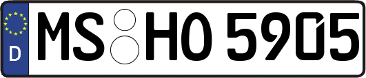 MS-HO5905