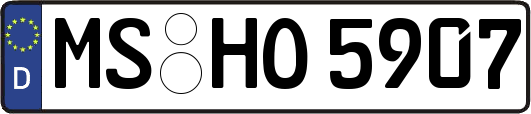 MS-HO5907