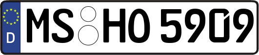 MS-HO5909