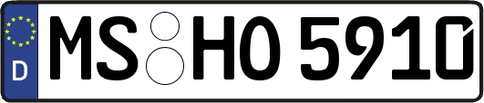 MS-HO5910