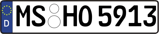 MS-HO5913
