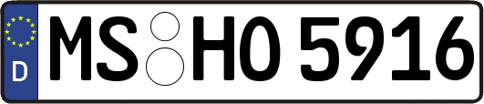 MS-HO5916