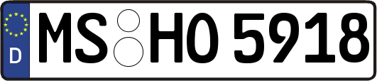 MS-HO5918