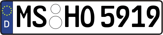MS-HO5919