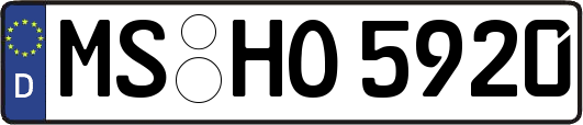 MS-HO5920