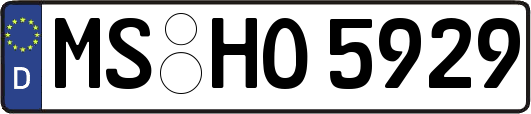 MS-HO5929