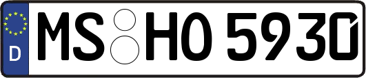 MS-HO5930