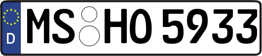 MS-HO5933