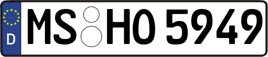 MS-HO5949