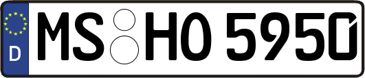MS-HO5950