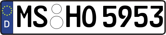 MS-HO5953