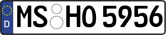 MS-HO5956