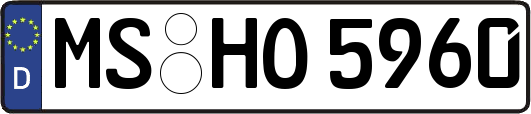 MS-HO5960