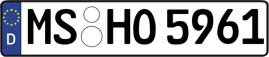 MS-HO5961