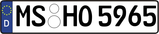 MS-HO5965