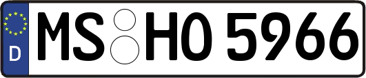 MS-HO5966
