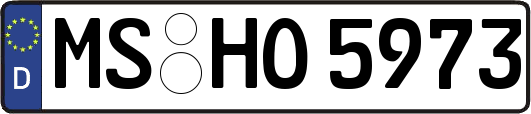 MS-HO5973
