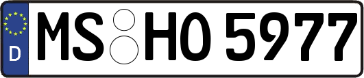 MS-HO5977