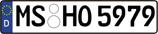 MS-HO5979